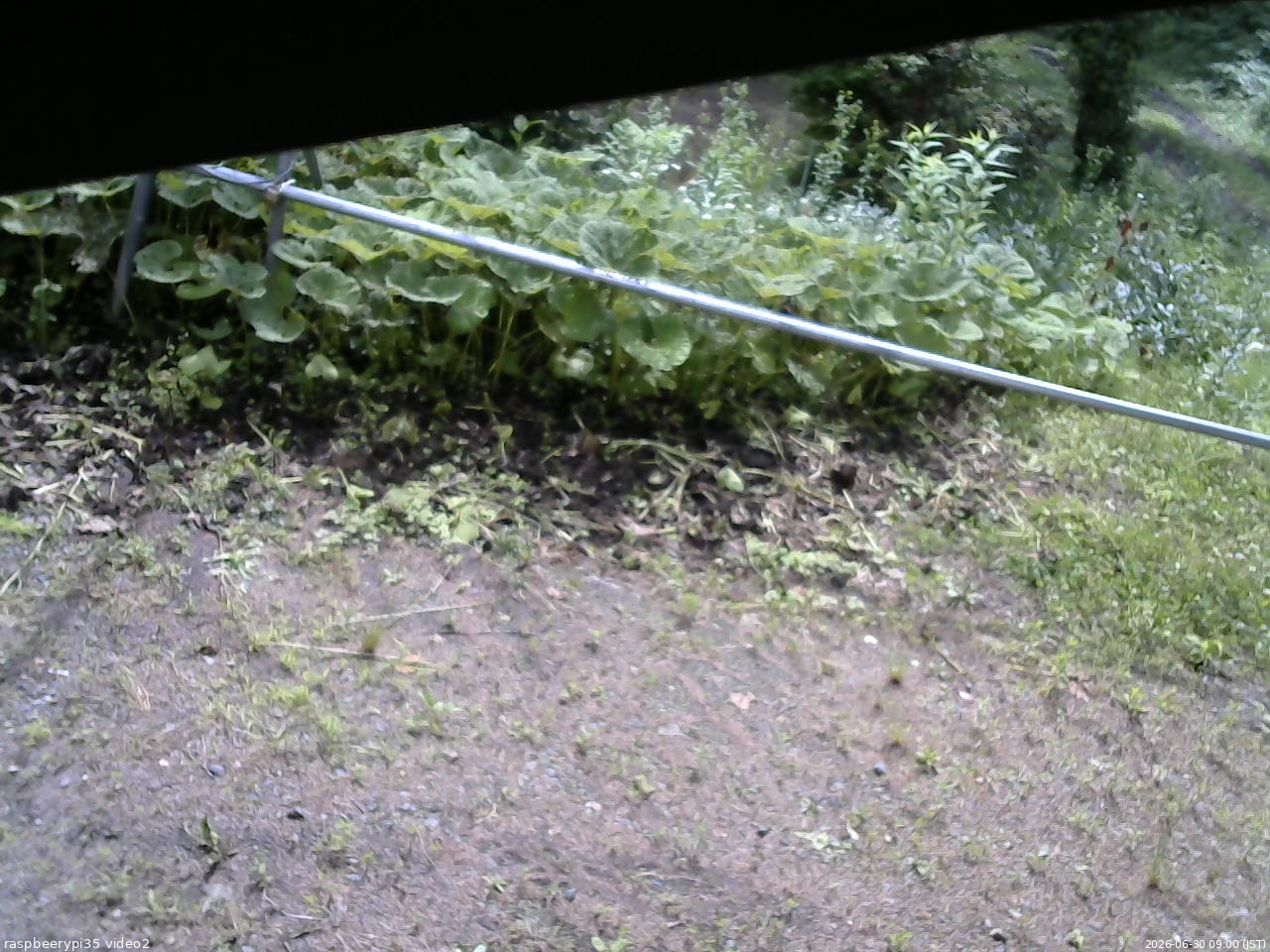 長野県菅平高原 ゆたか山荘 駐車場 2026/06/30 09:00