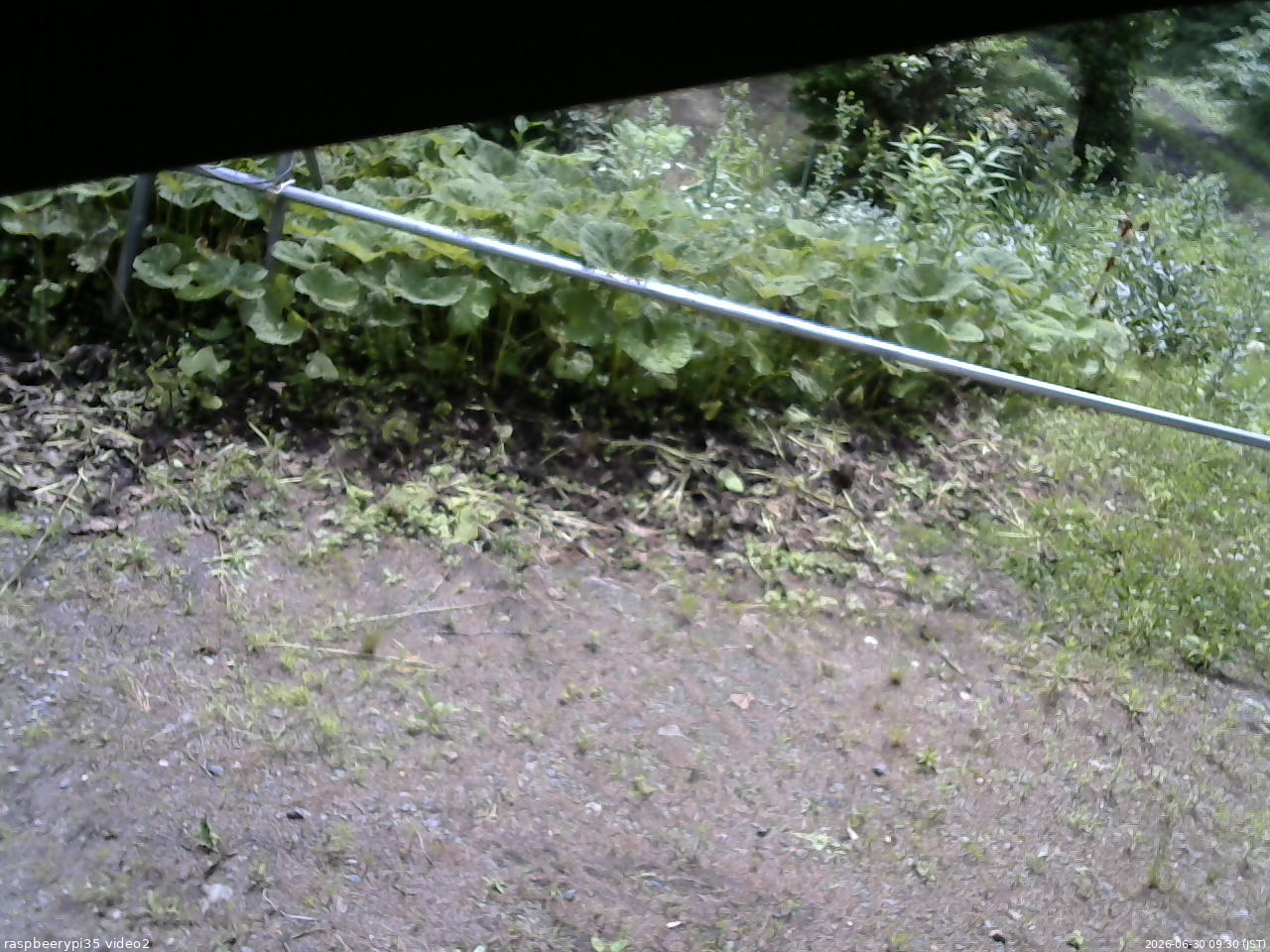 長野県菅平高原 ゆたか山荘 駐車場 2026/06/30 09:30