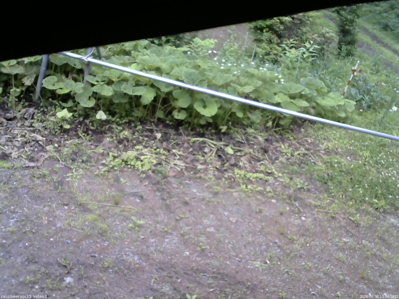長野県菅平高原 ゆたか山荘 駐車場 2026/06/30 10:00
