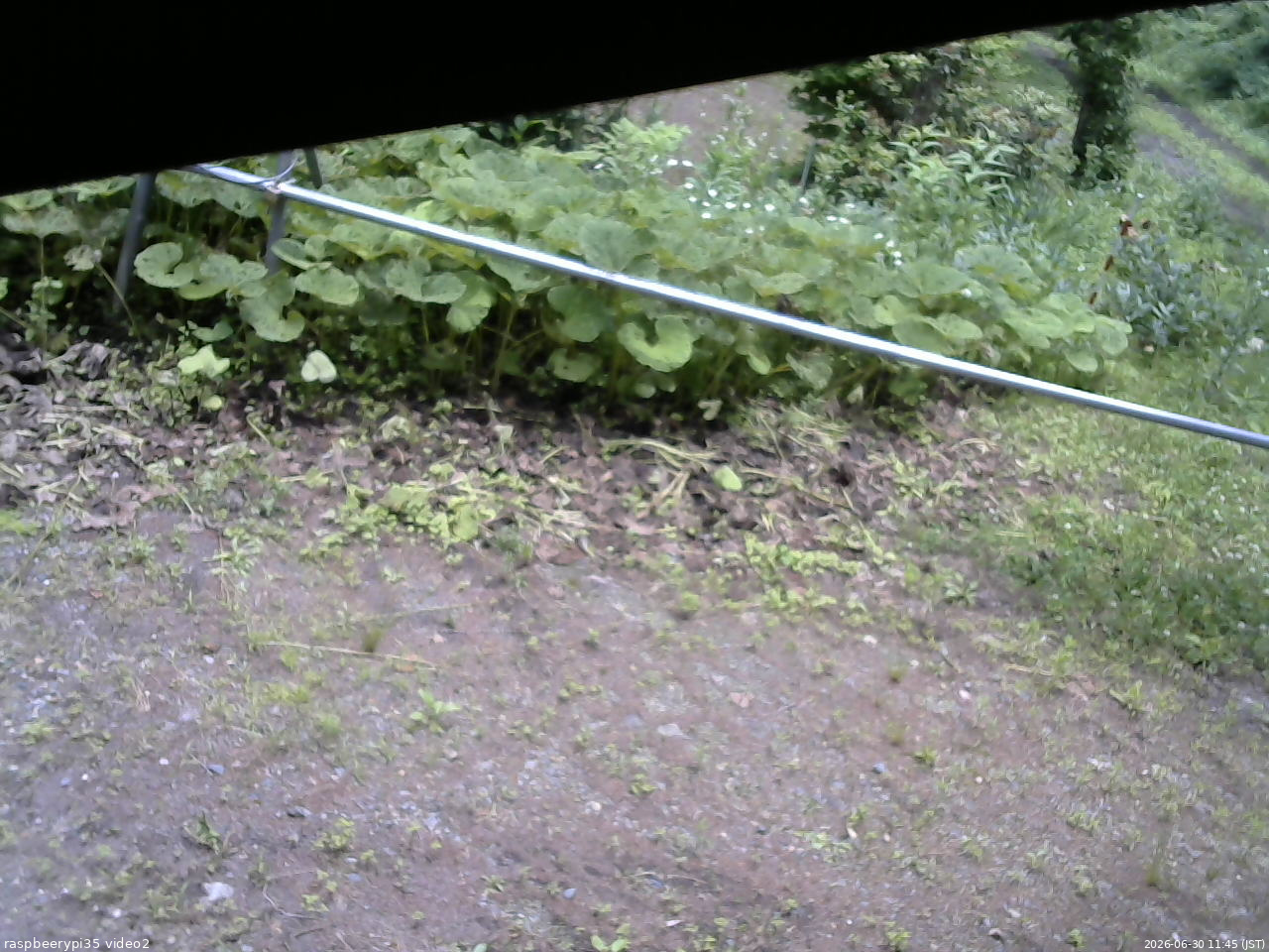 長野県菅平高原 ゆたか山荘 駐車場 2026/06/30 11:45
