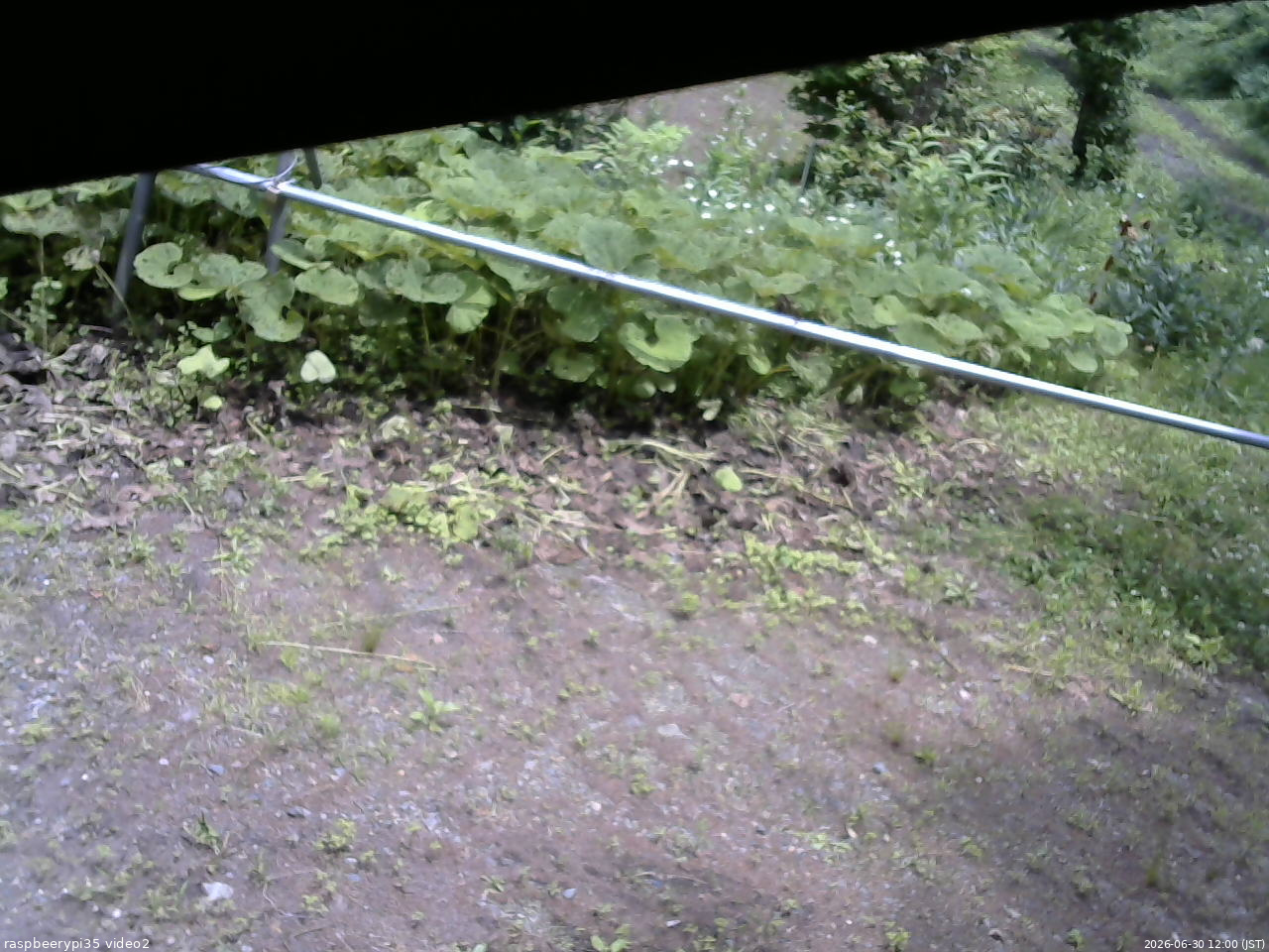 長野県菅平高原 ゆたか山荘 駐車場 2026/06/30 12:00
