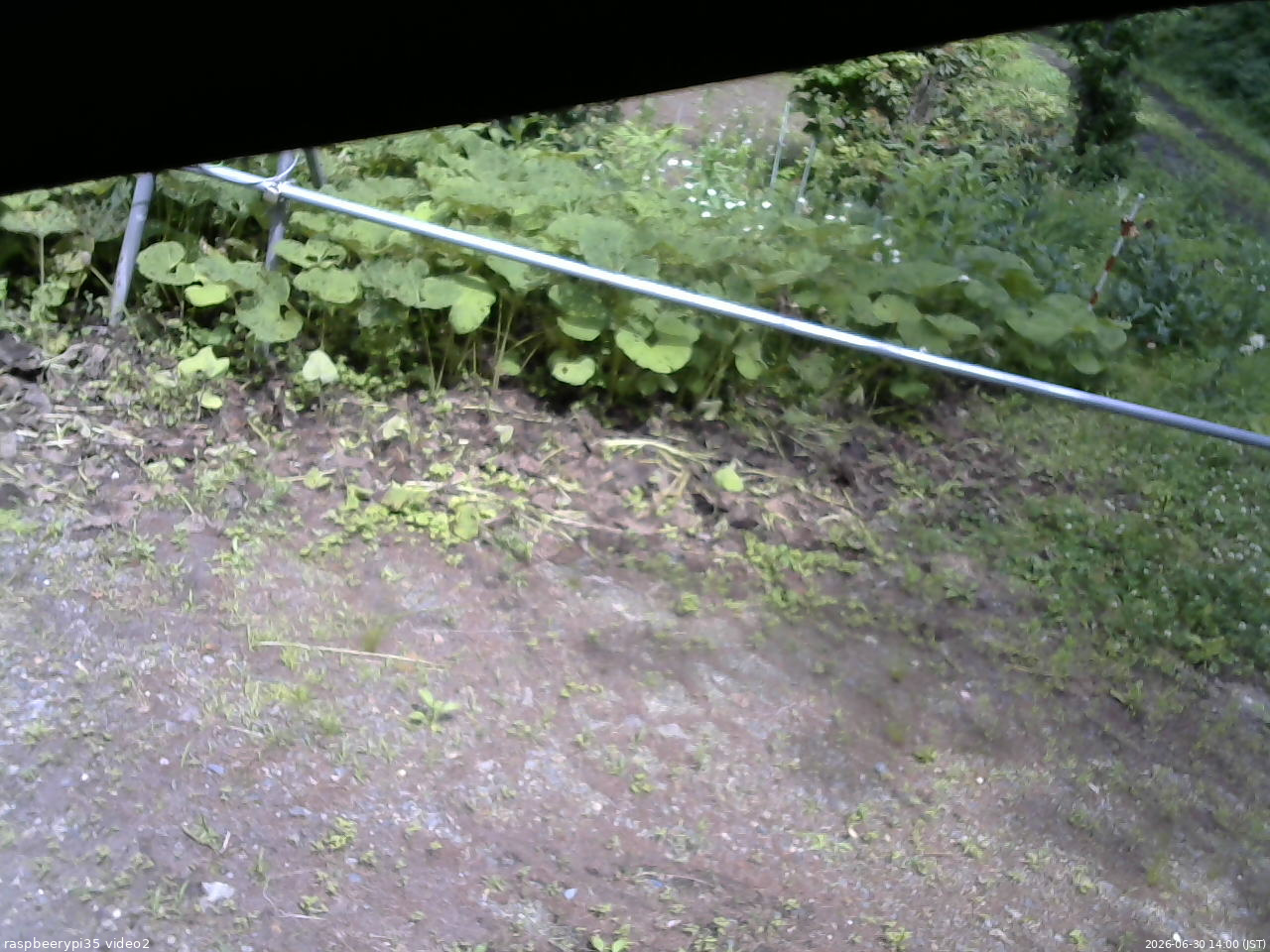 長野県菅平高原 ゆたか山荘 駐車場 2026/06/30 14:00