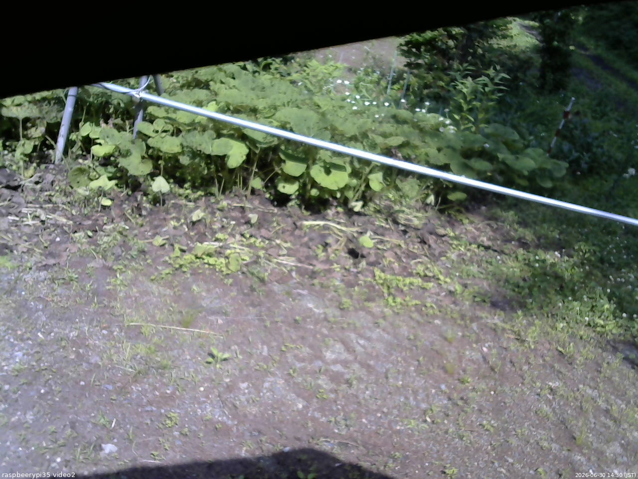 長野県菅平高原 ゆたか山荘 駐車場 2026/06/30 14:30