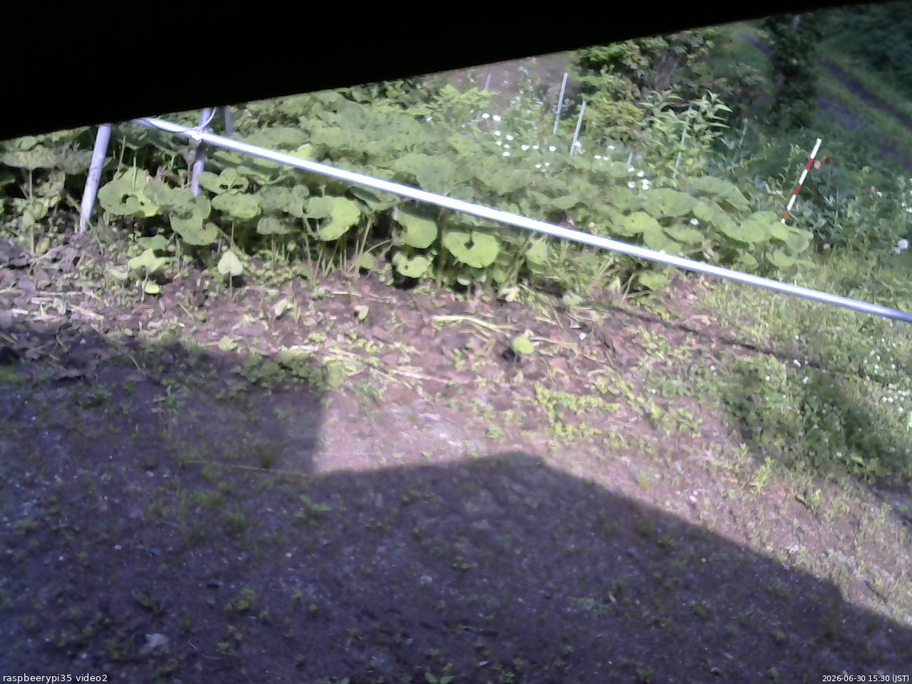 長野県菅平高原 ゆたか山荘 駐車場 2026/06/30 15:30