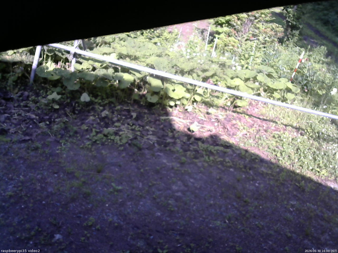 長野県菅平高原 ゆたか山荘 駐車場 2026/06/30 16:00