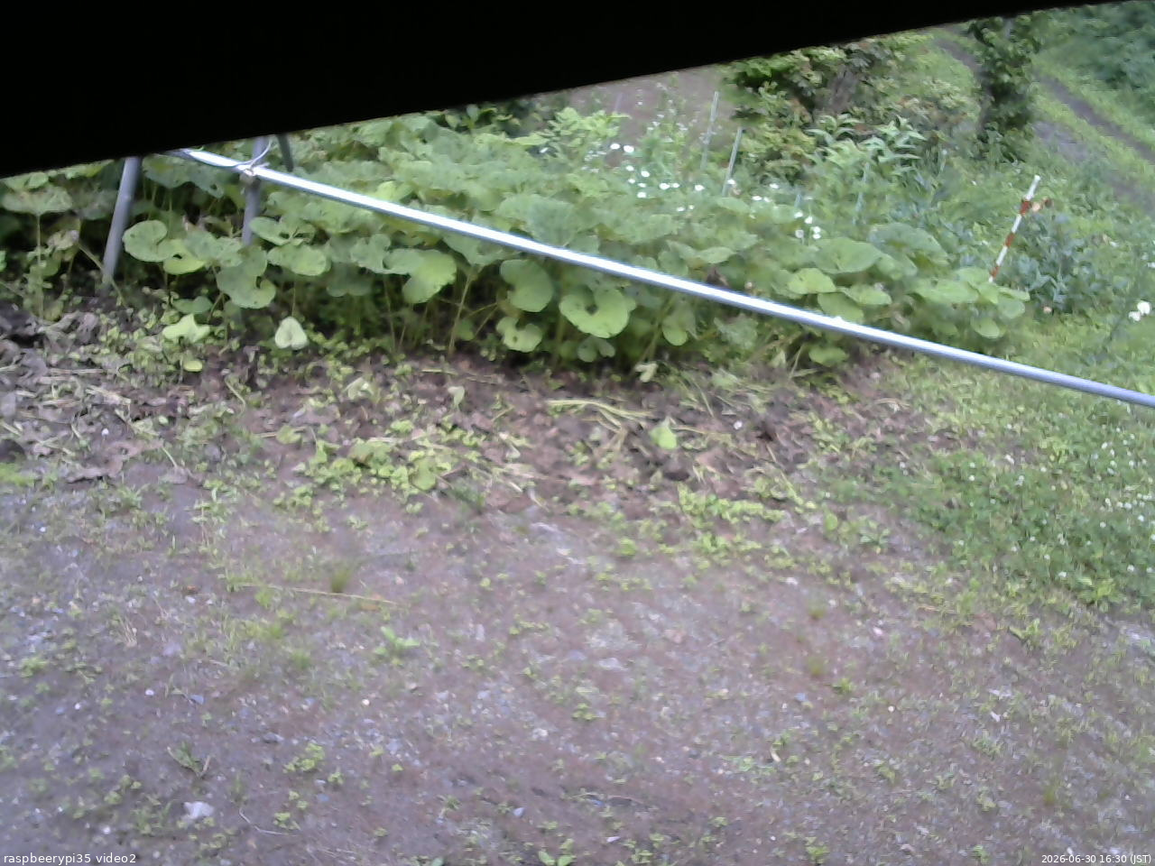 長野県菅平高原 ゆたか山荘 駐車場 2026/06/30 16:30