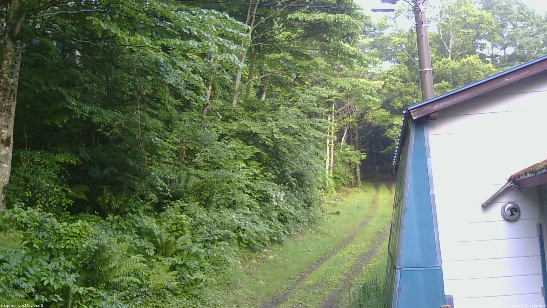 長野県菅平高原 ゆたか山荘 ゆたか山荘 2026/06/30 05:00