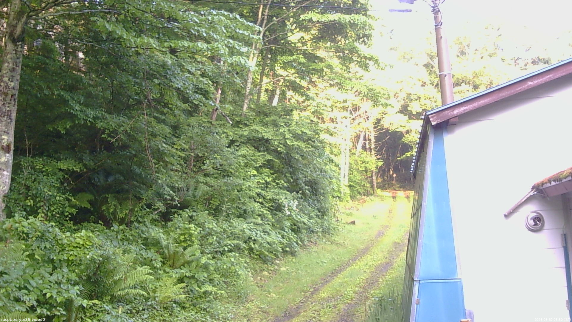 長野県菅平高原 ゆたか山荘 ゆたか山荘 2026/06/30 05:30