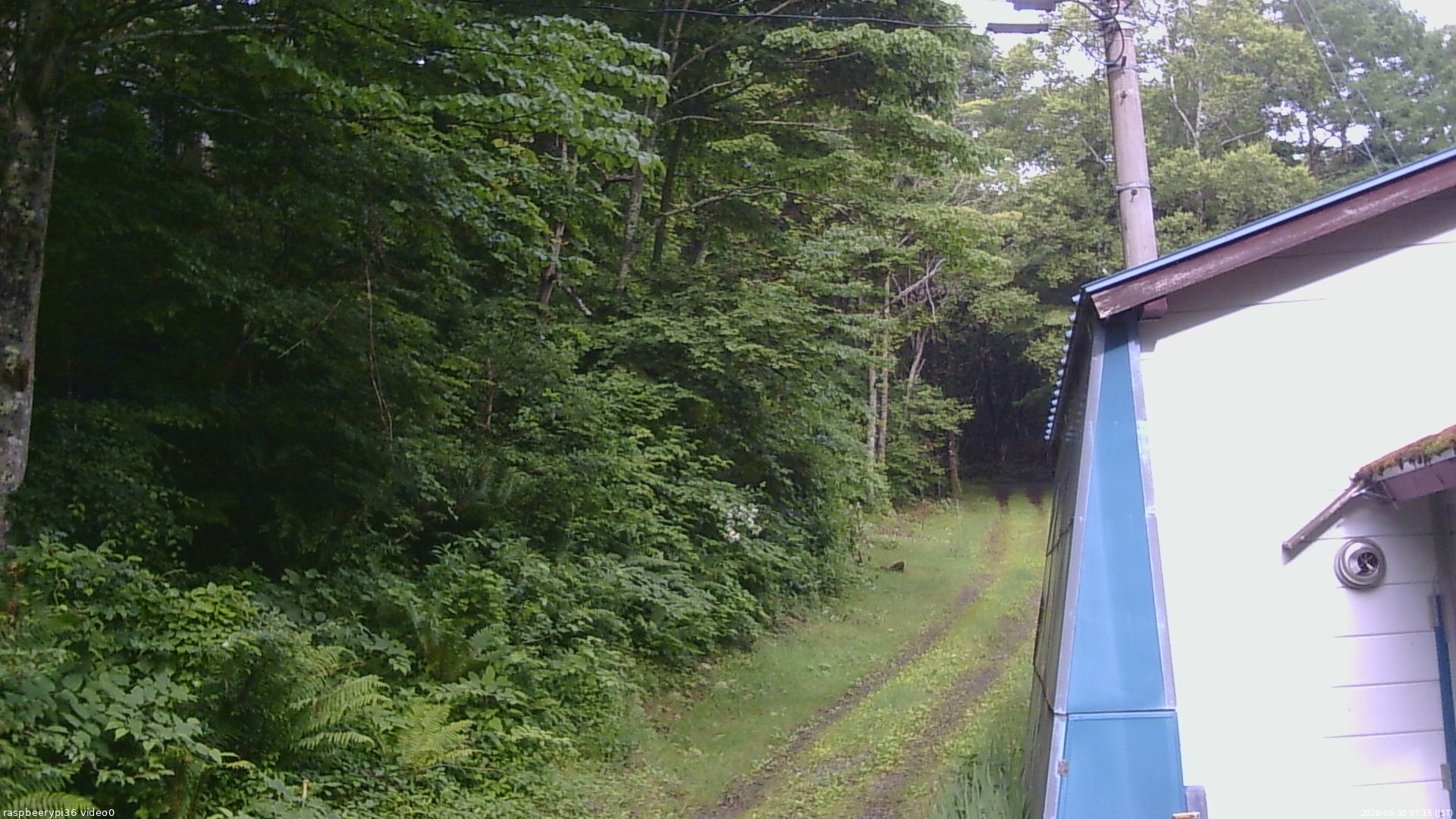 長野県菅平高原 ゆたか山荘 ゆたか山荘 2026/06/30 07:15