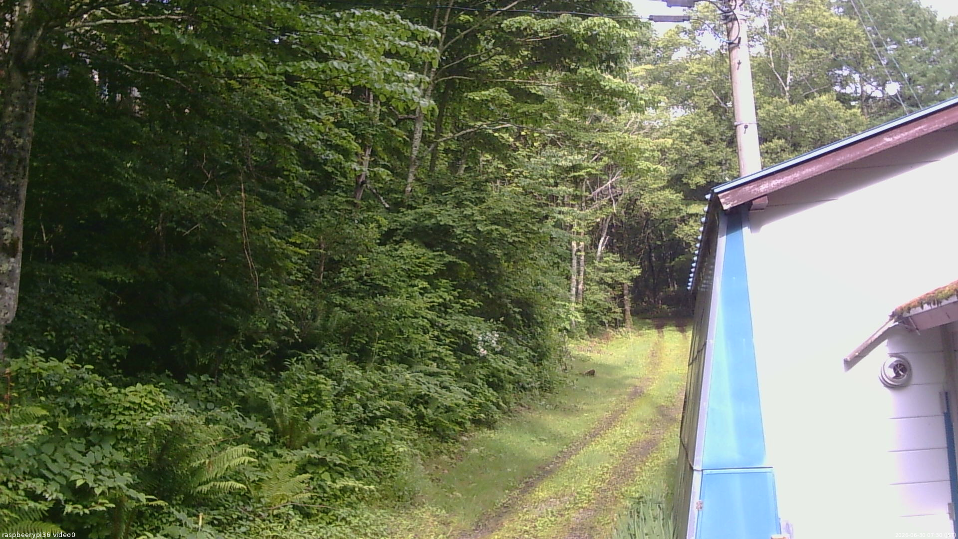 長野県菅平高原 ゆたか山荘 ゆたか山荘 2026/06/30 07:30