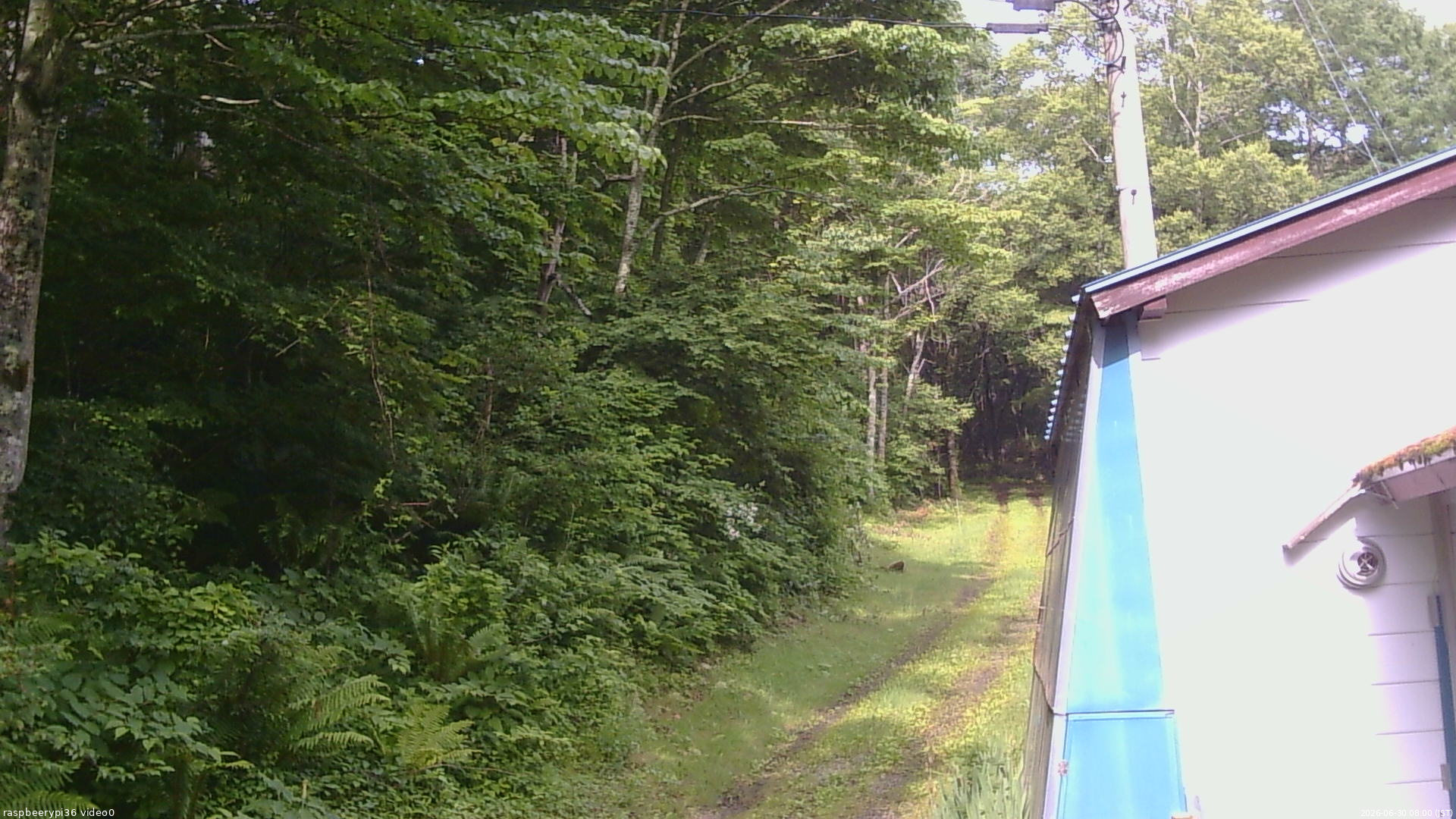 長野県菅平高原 ゆたか山荘 ゆたか山荘 2026/06/30 08:00