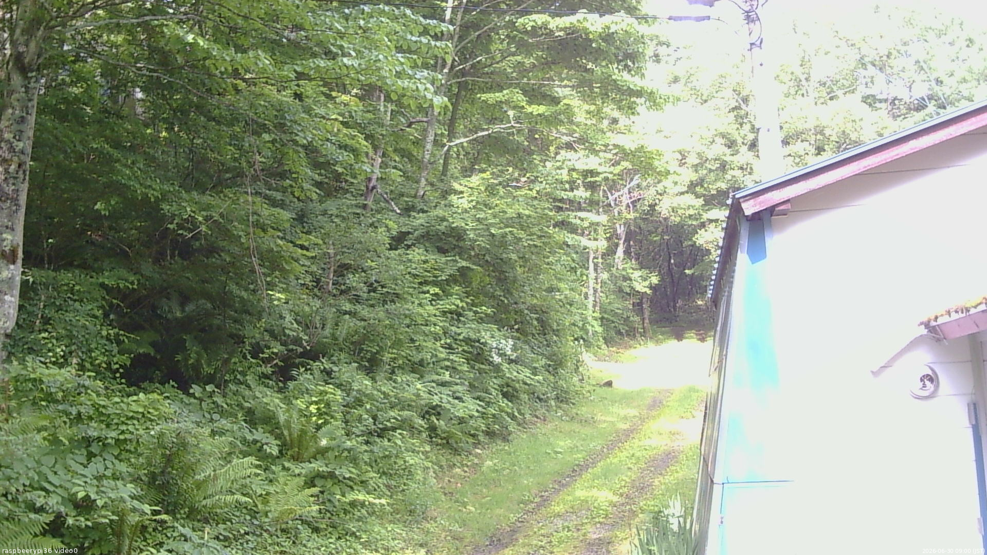 長野県菅平高原 ゆたか山荘 ゆたか山荘 2026/06/30 09:00