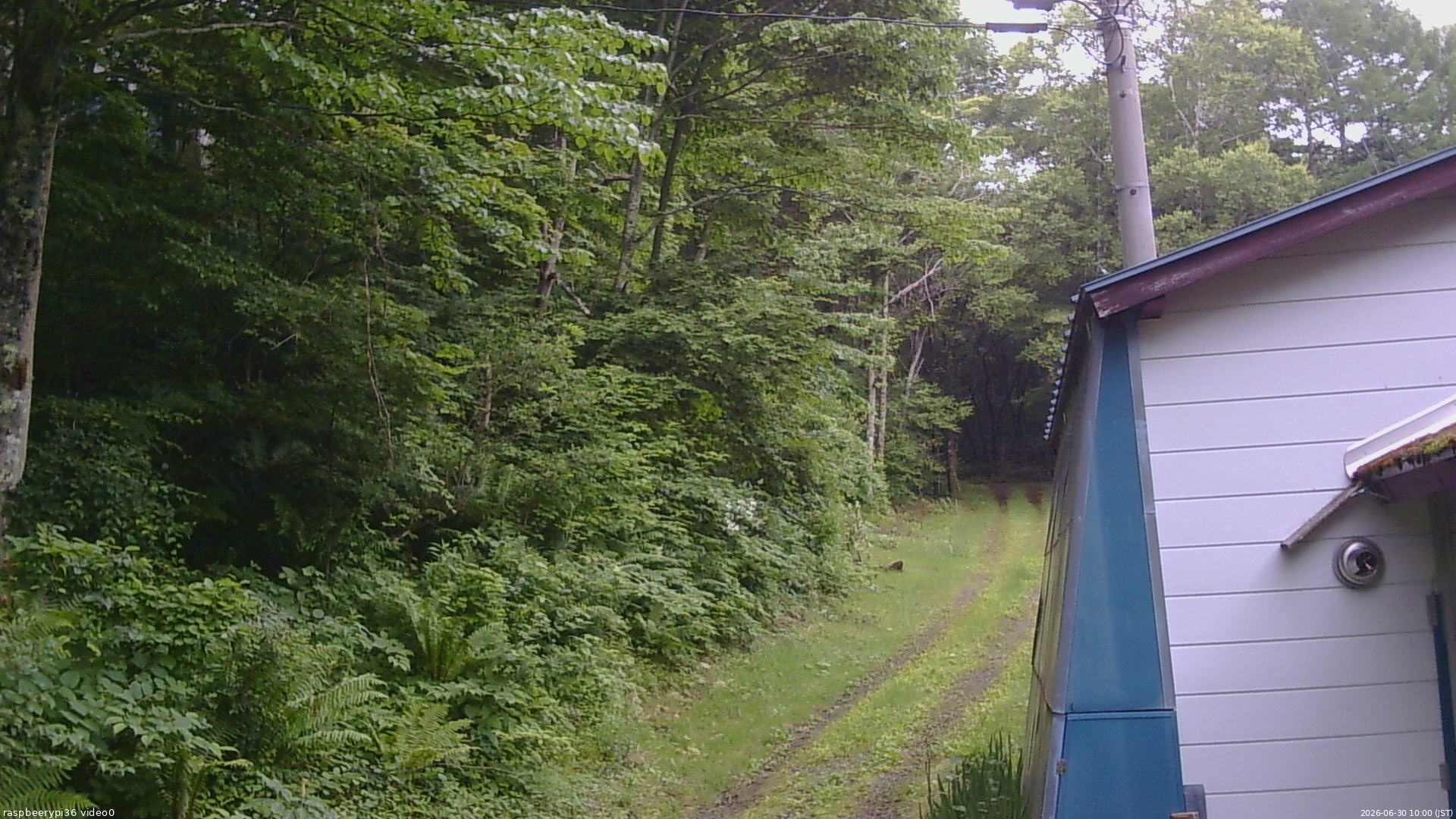 長野県菅平高原 ゆたか山荘 ゆたか山荘 2026/06/30 10:00