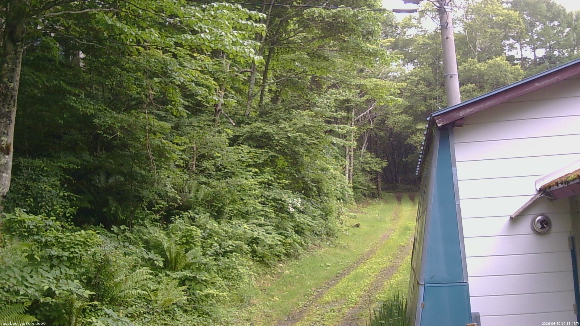 長野県菅平高原 ゆたか山荘 ゆたか山荘 2026/06/30 10:15