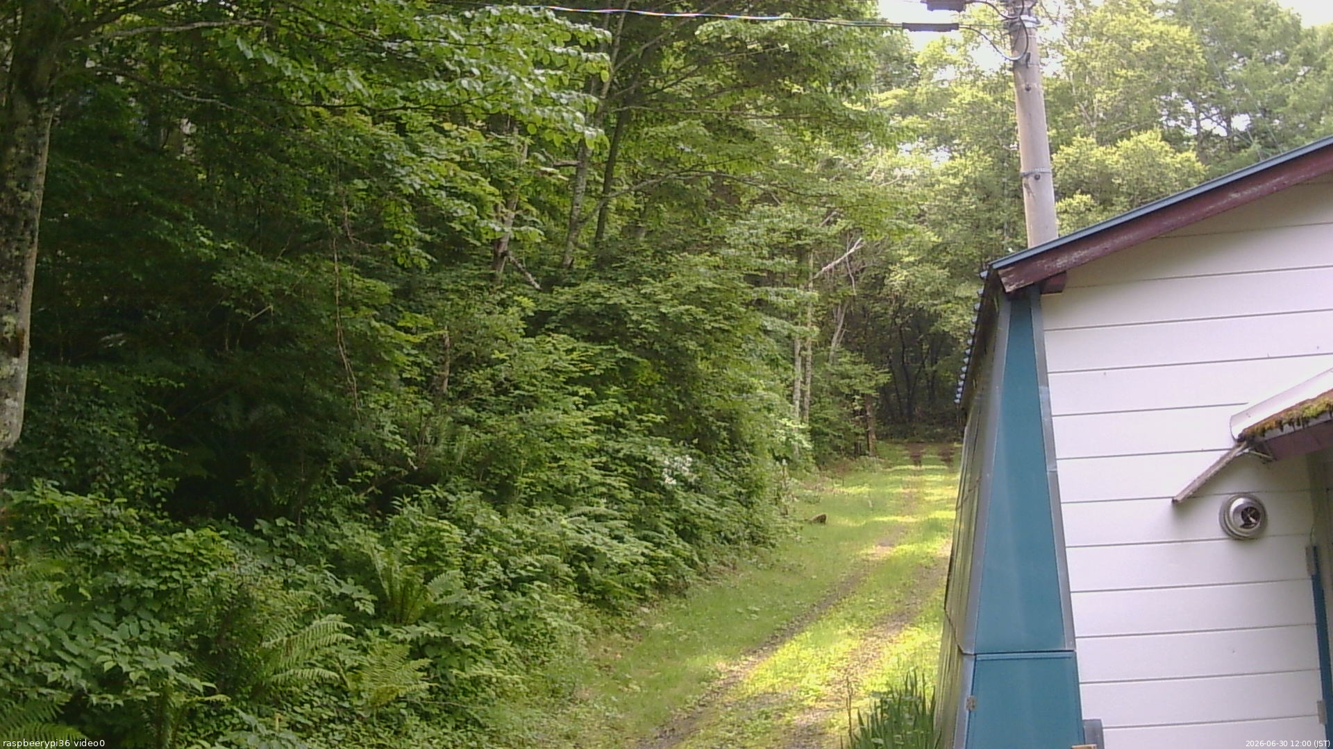 長野県菅平高原 ゆたか山荘 ゆたか山荘 2026/06/30 12:00