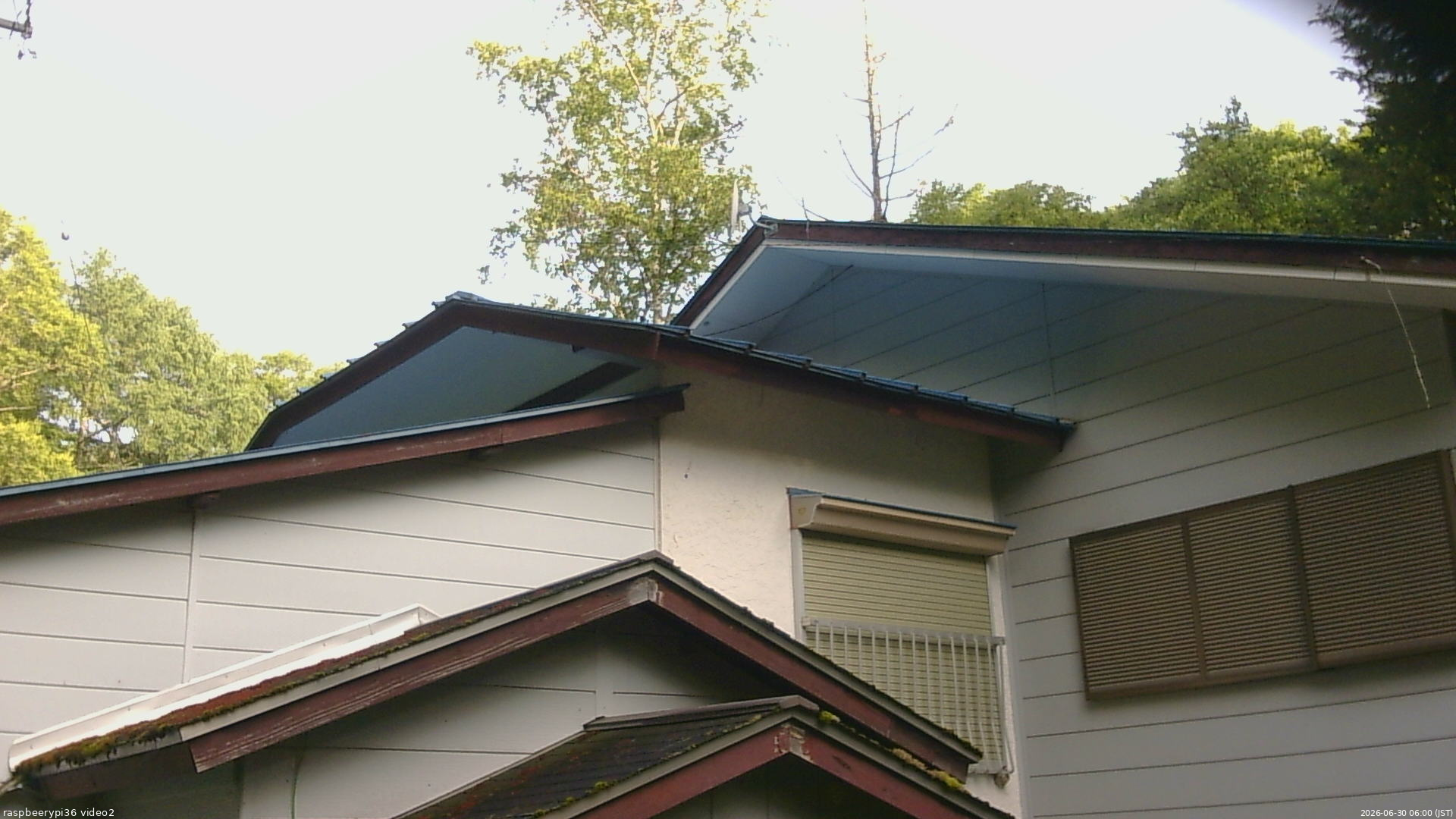 長野県菅平高原 ゆたか山荘 駐車場奥 2026/06/30 06:00