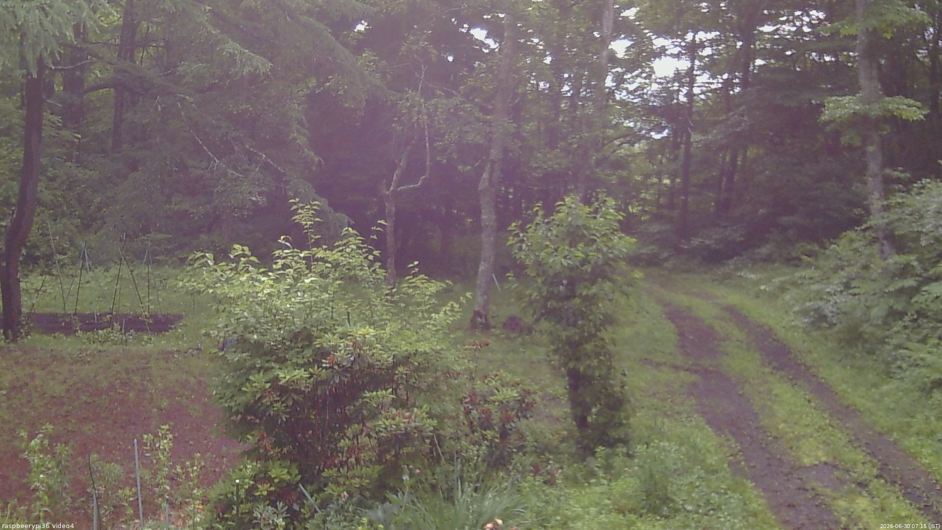 長野県菅平高原 ゆたか山荘 坂上 2026/06/30 07:15
