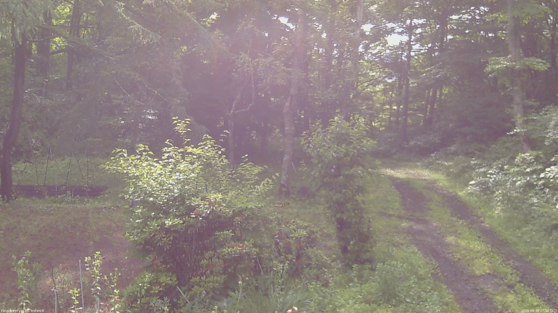長野県菅平高原 ゆたか山荘 坂上 2026/06/30 07:30