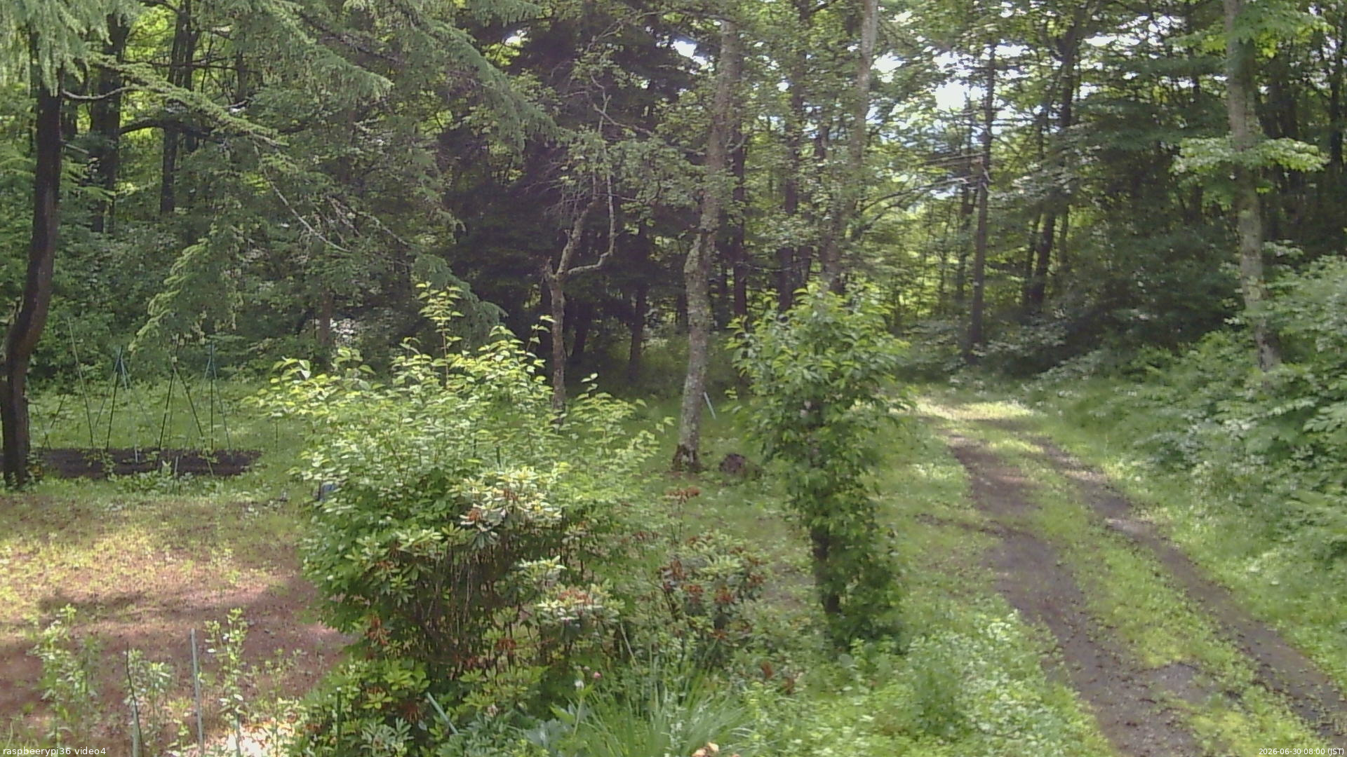 長野県菅平高原 ゆたか山荘 坂上 2026/06/30 08:00