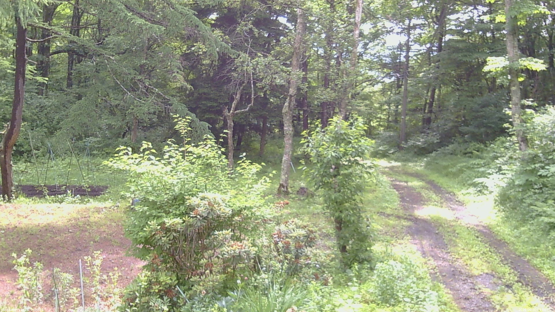 長野県菅平高原 ゆたか山荘 坂上 2026/06/30 09:00