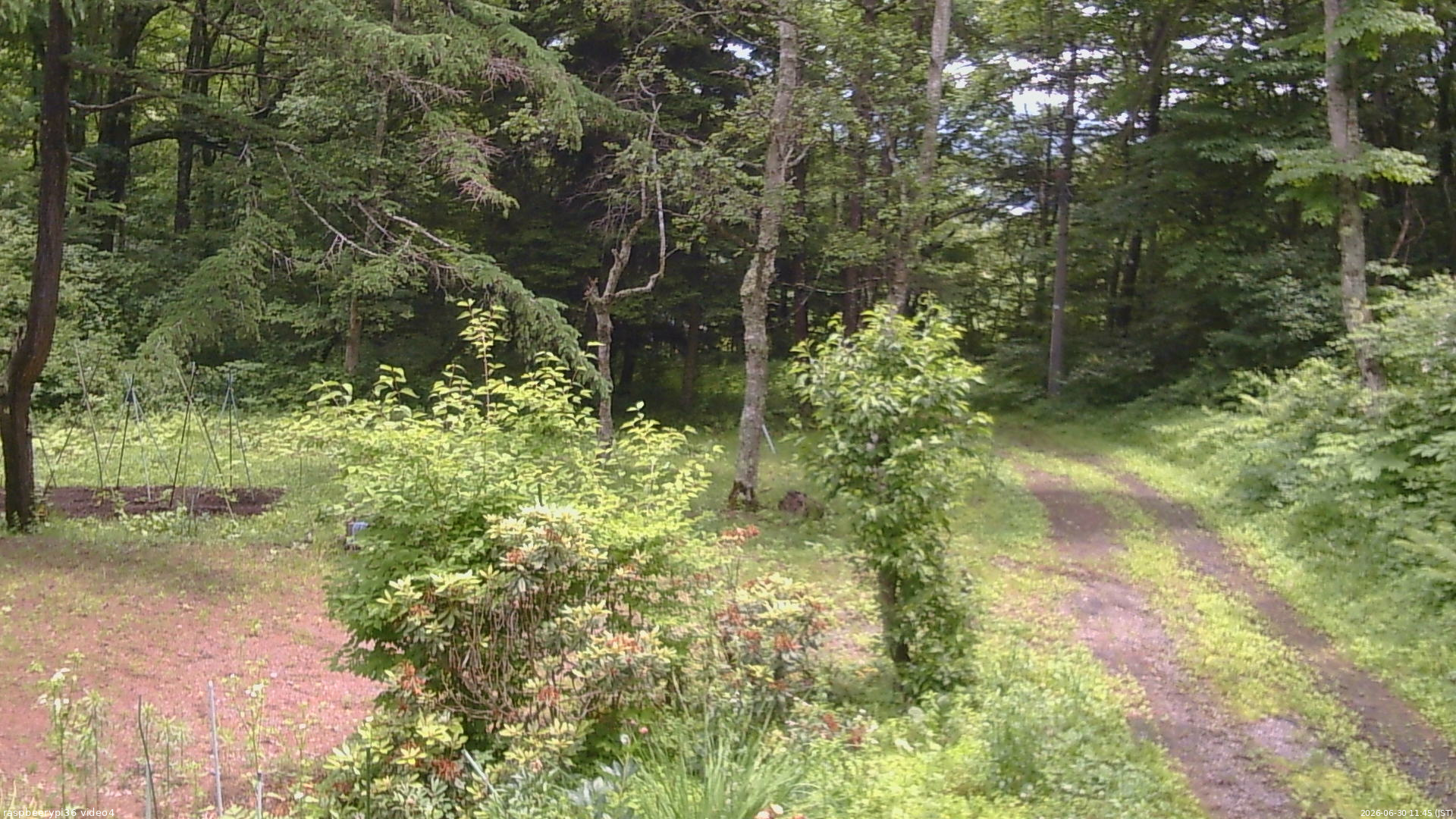 長野県菅平高原 ゆたか山荘 坂上 2026/06/30 11:45