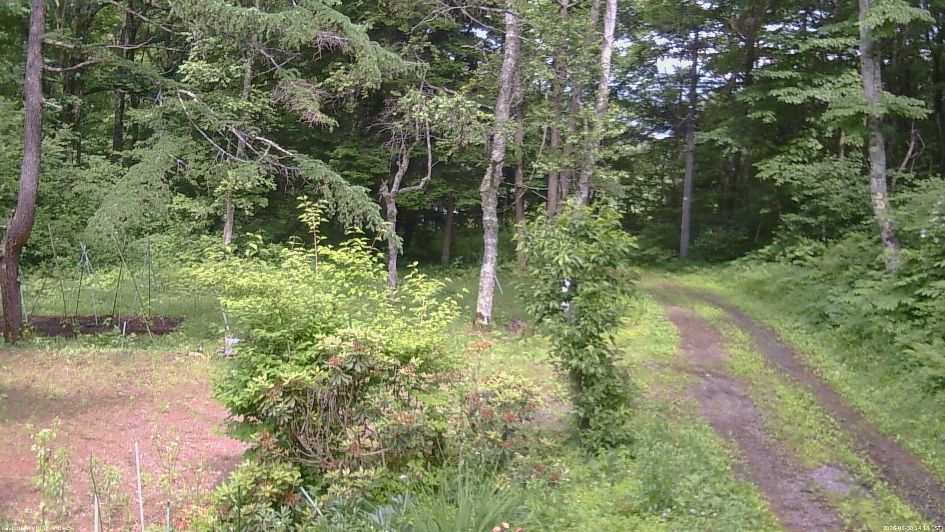 長野県菅平高原 ゆたか山荘 坂上 2026/06/30 14:15