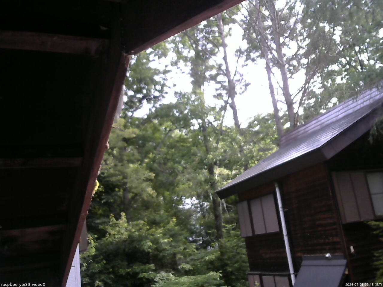 長野県菅平高原 ゆたか山荘 北側 2026/07/01 07:45
