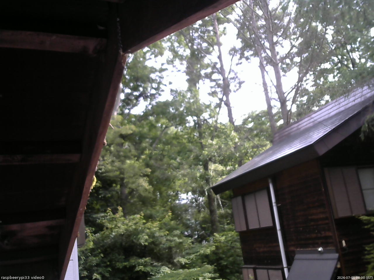 長野県菅平高原 ゆたか山荘 北側 2026/07/01 08:00