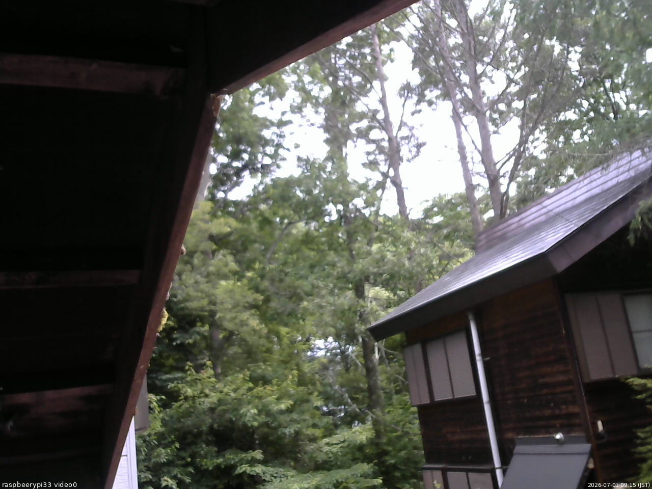 長野県菅平高原 ゆたか山荘 北側 2026/07/01 09:15