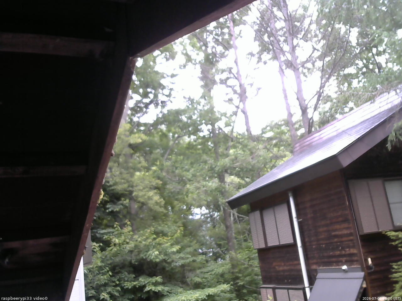 長野県菅平高原 ゆたか山荘 北側 2026/07/01 16:00