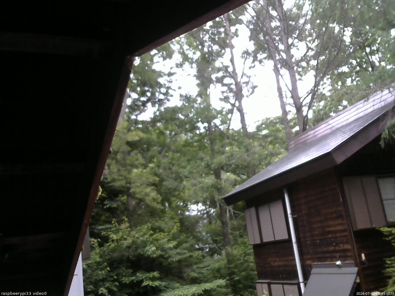 長野県菅平高原 ゆたか山荘 北側 2026/07/01 16:45