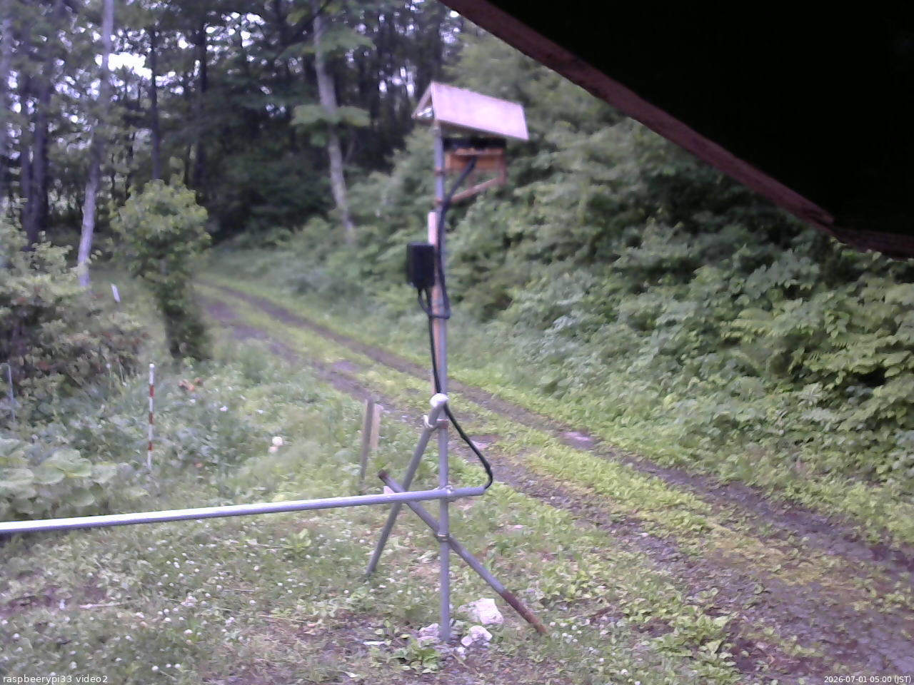 長野県菅平高原 ゆたか山荘 南側 2026/07/01 05:00