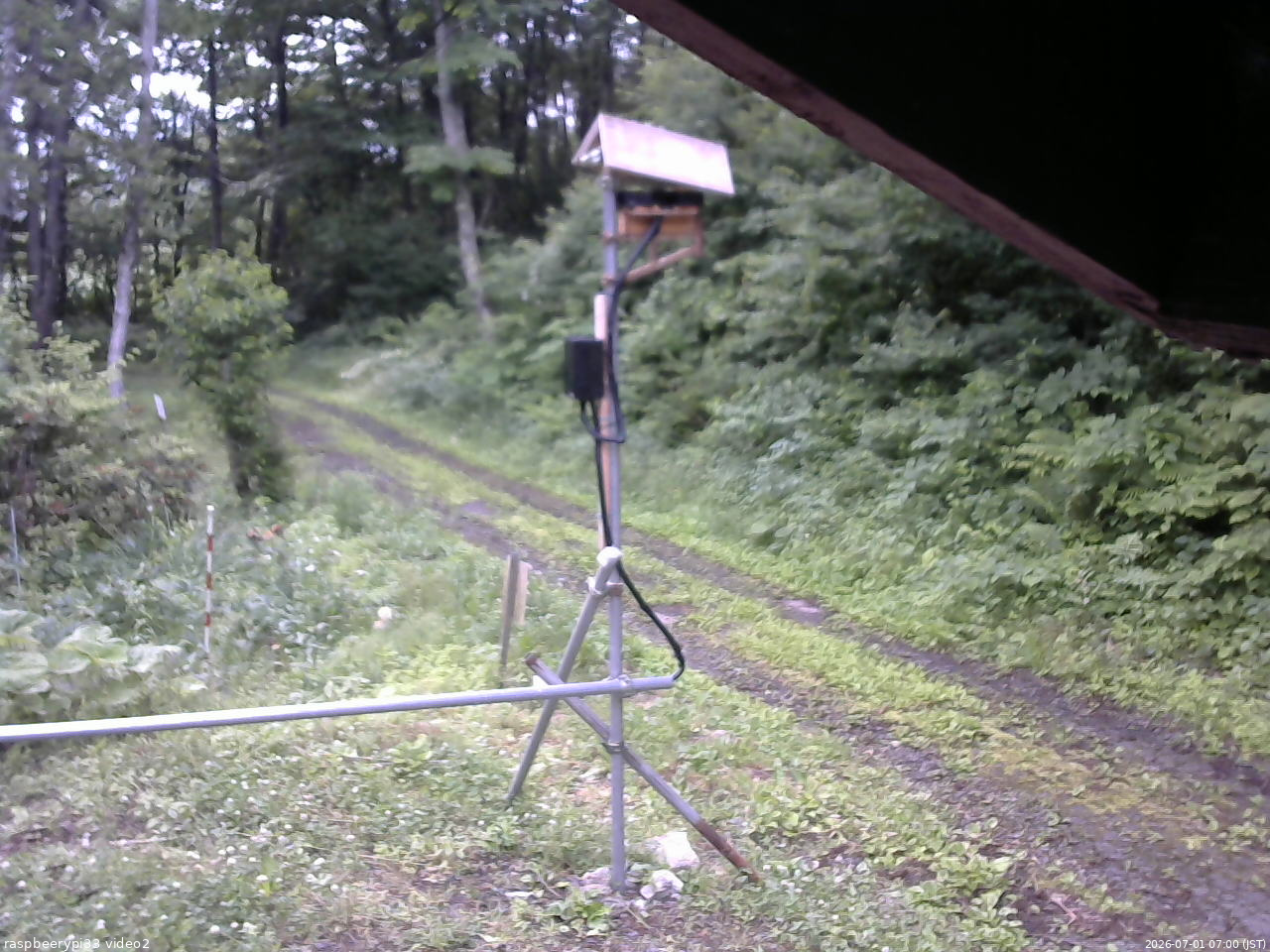 長野県菅平高原 ゆたか山荘 南側 2026/07/01 07:00