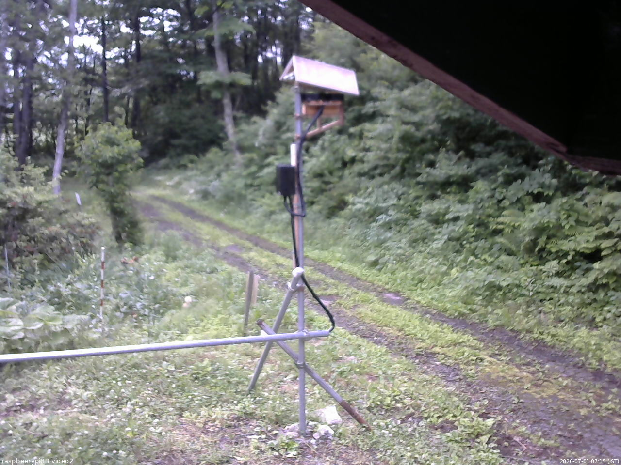 長野県菅平高原 ゆたか山荘 南側 2026/07/01 07:15