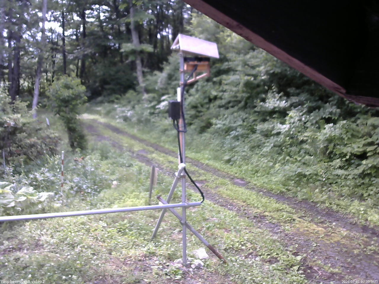 長野県菅平高原 ゆたか山荘 南側 2026/07/01 07:30