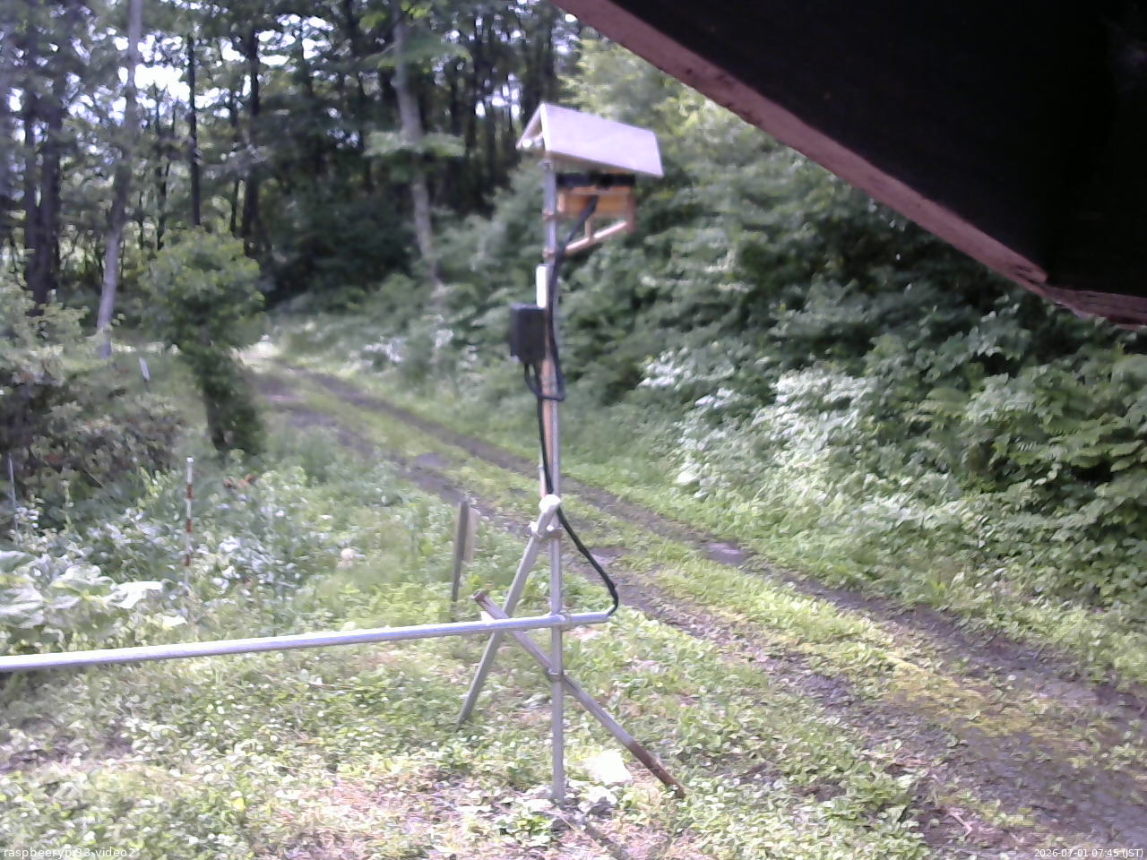 長野県菅平高原 ゆたか山荘 南側 2026/07/01 07:45