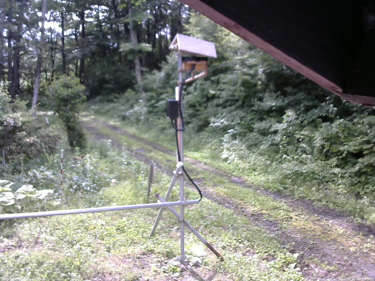 長野県菅平高原 ゆたか山荘 南側 2026/07/01 08:00