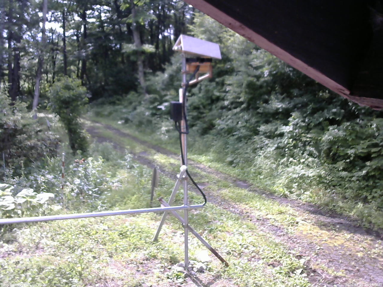 長野県菅平高原 ゆたか山荘 南側 2026/07/01 08:15