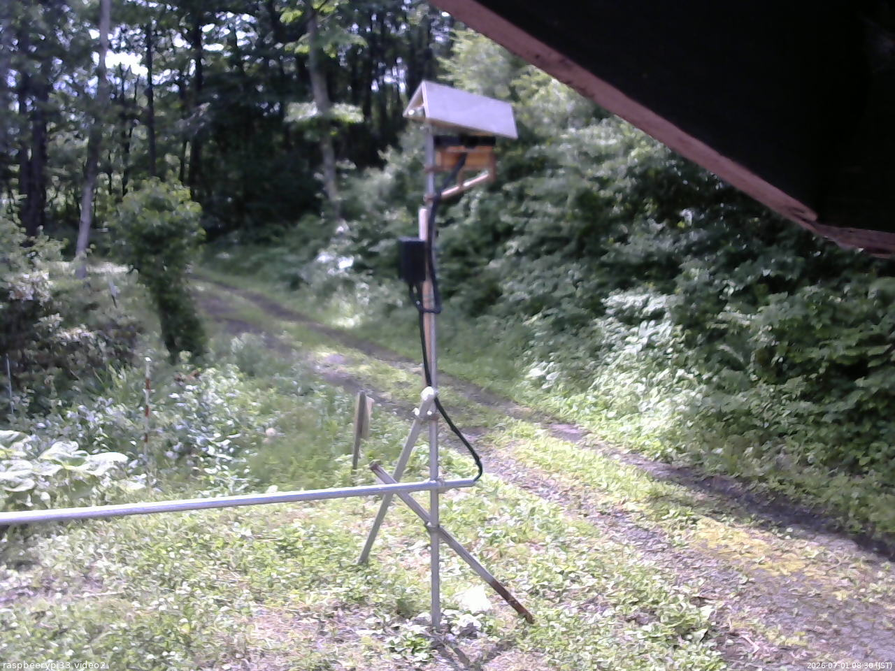 長野県菅平高原 ゆたか山荘 南側 2026/07/01 08:30