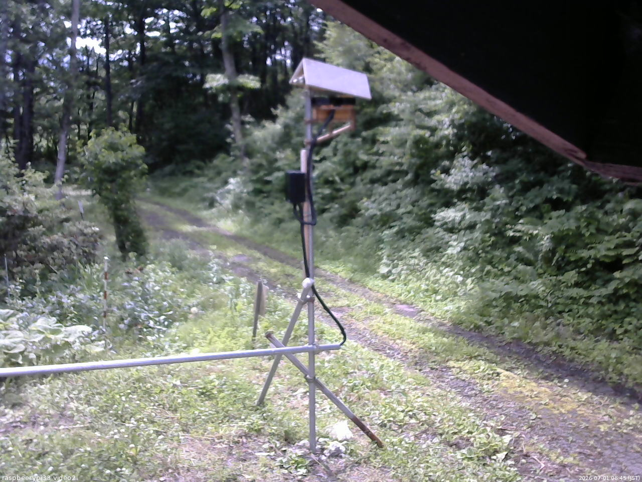 長野県菅平高原 ゆたか山荘 南側 2026/07/01 08:45