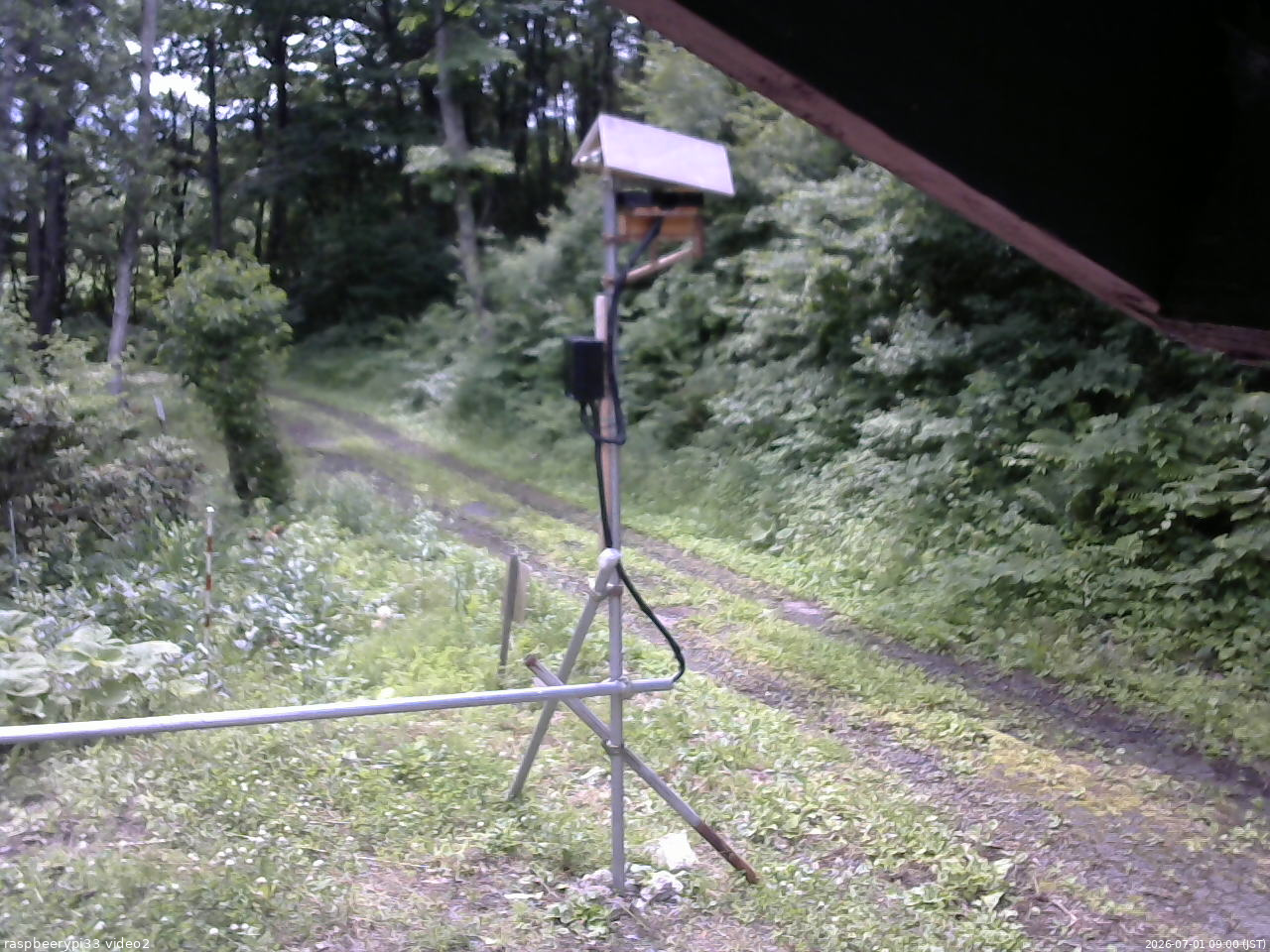 長野県菅平高原 ゆたか山荘 南側 2026/07/01 09:00