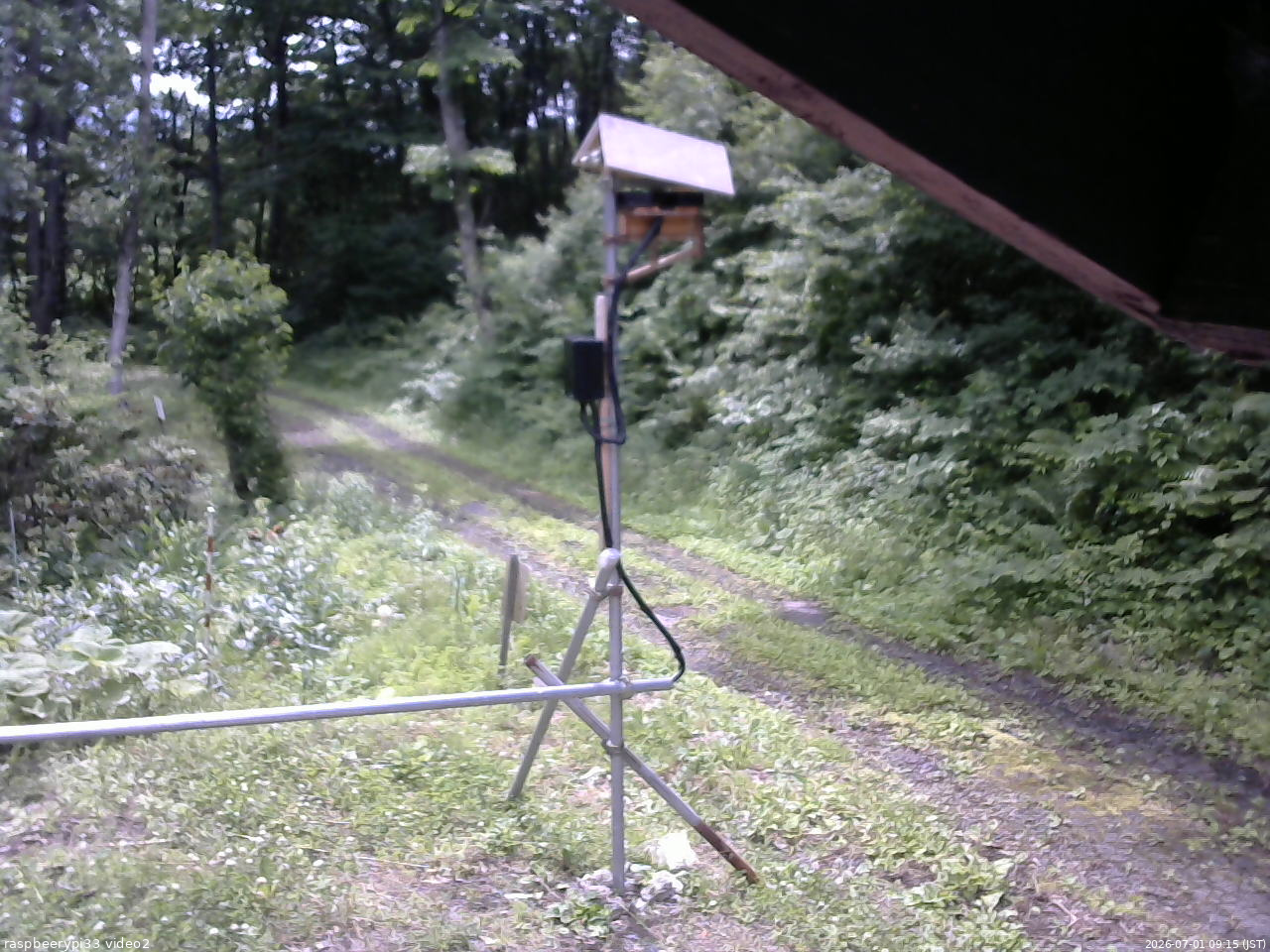 長野県菅平高原 ゆたか山荘 南側 2026/07/01 09:15