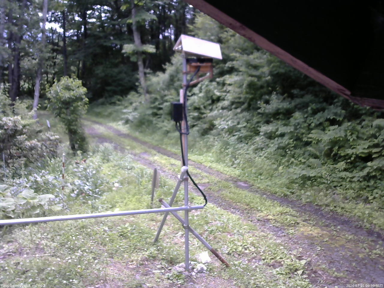 長野県菅平高原 ゆたか山荘 南側 2026/07/01 09:30