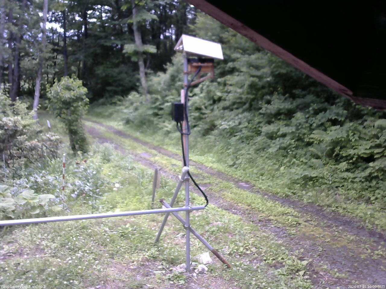 長野県菅平高原 ゆたか山荘 南側 2026/07/01 10:00