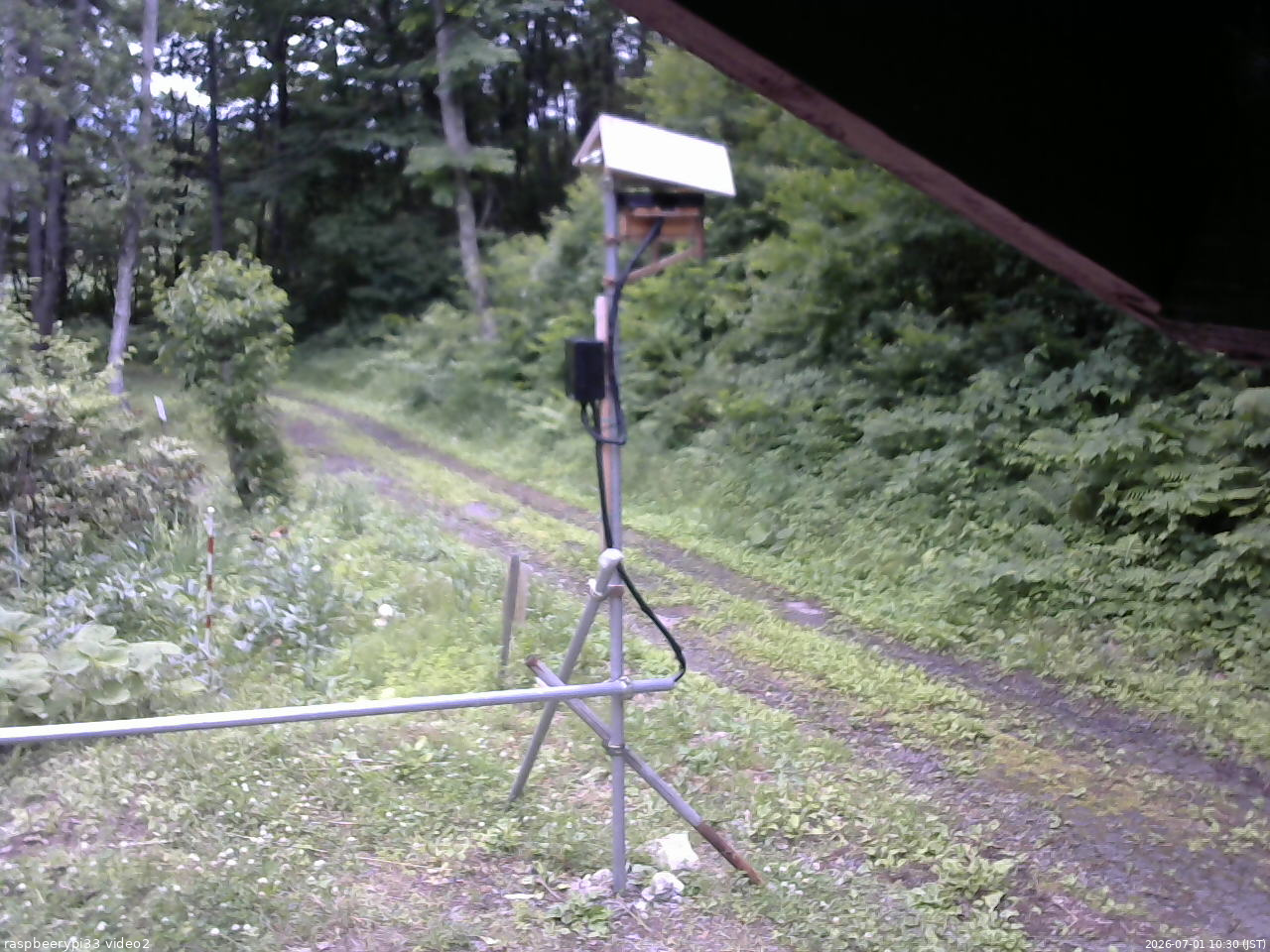 長野県菅平高原 ゆたか山荘 南側 2026/07/01 10:30