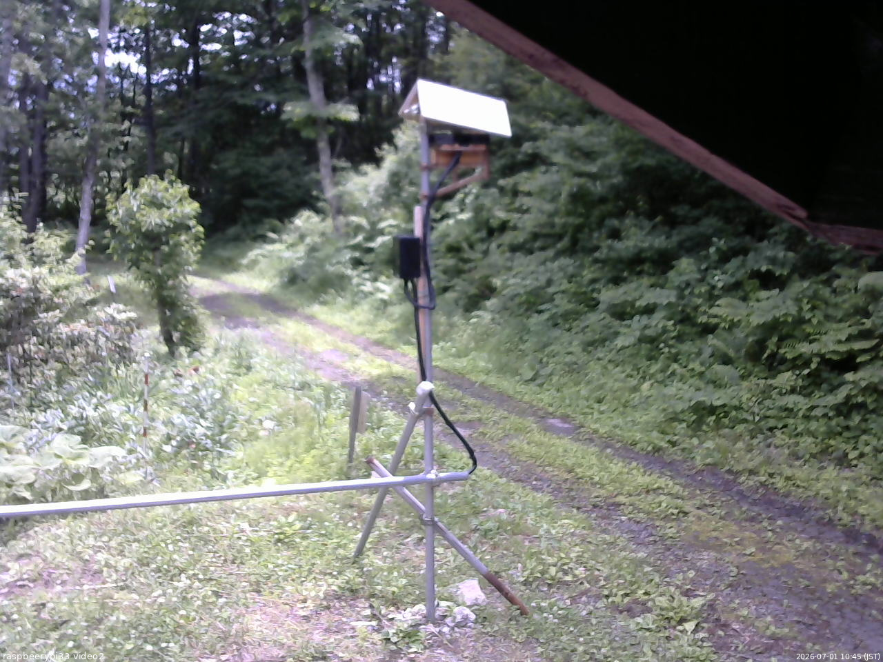 長野県菅平高原 ゆたか山荘 南側 2026/07/01 10:45