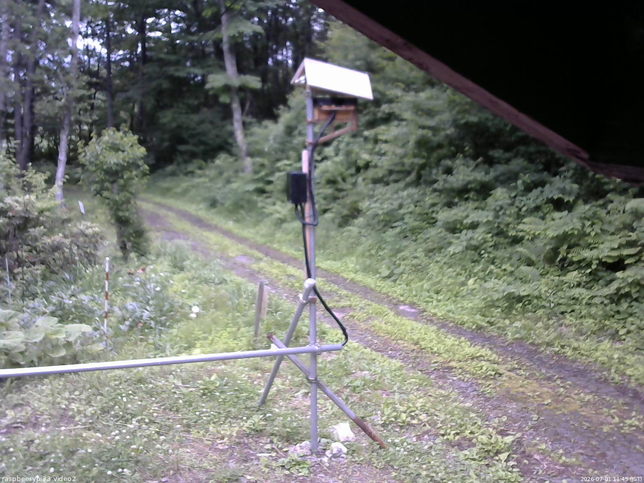 長野県菅平高原 ゆたか山荘 南側 2026/07/01 11:45