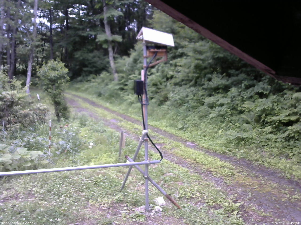 長野県菅平高原 ゆたか山荘 南側 2026/07/01 12:45