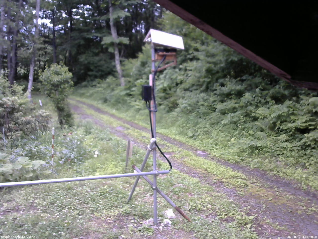 長野県菅平高原 ゆたか山荘 南側 2026/07/01 13:45