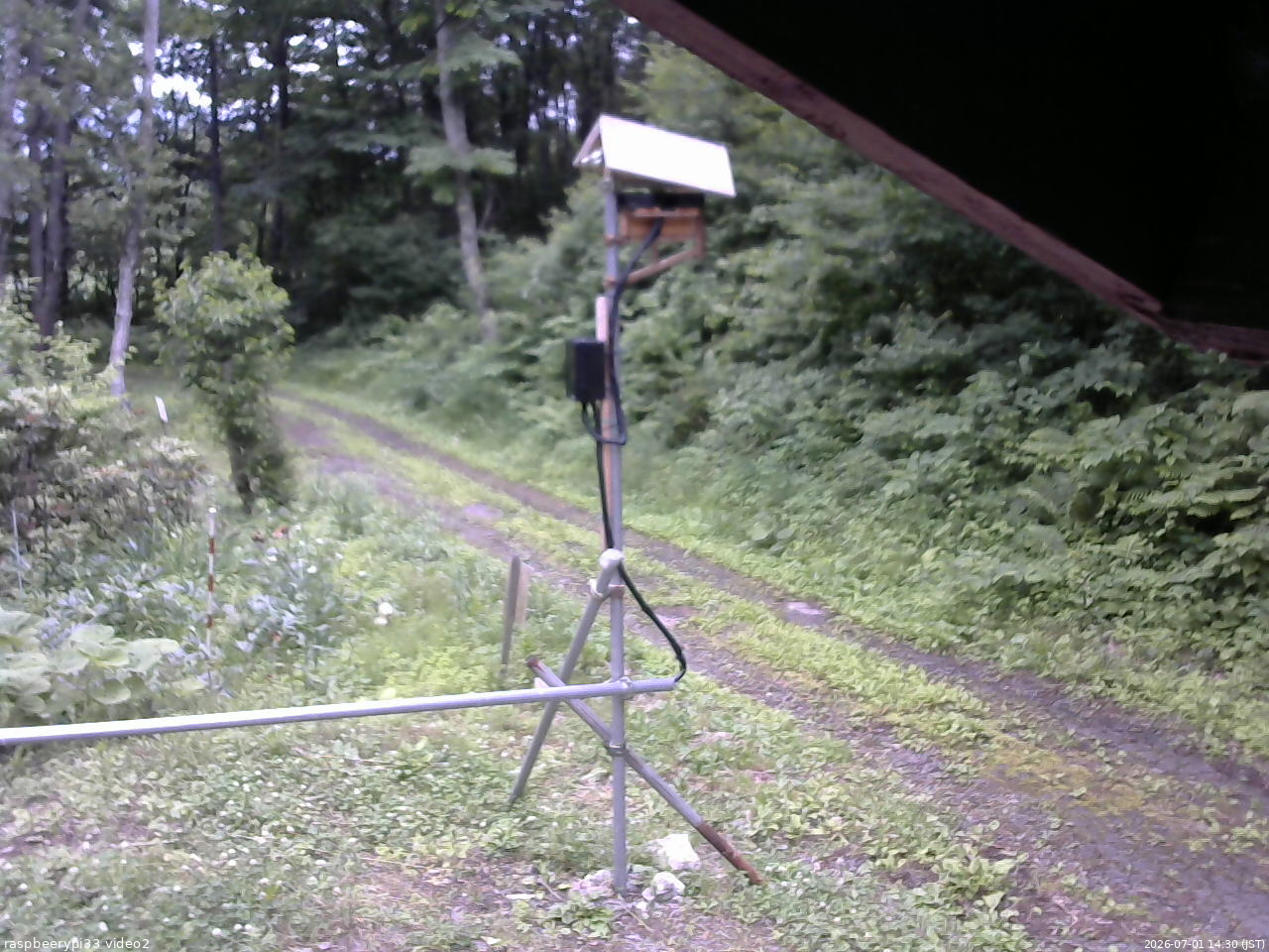 長野県菅平高原 ゆたか山荘 南側 2026/07/01 14:30
